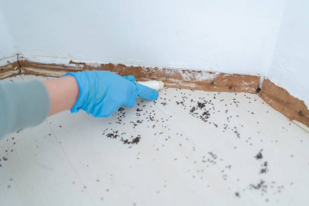 Best Pest Prevention Services  in Farmington, PA
