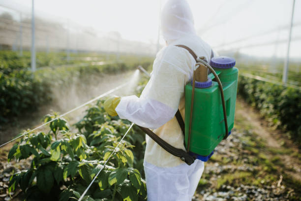 Best Pest Inspection Near Me  in Farmington, PA